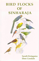 Bird Flocks of Sinharaja